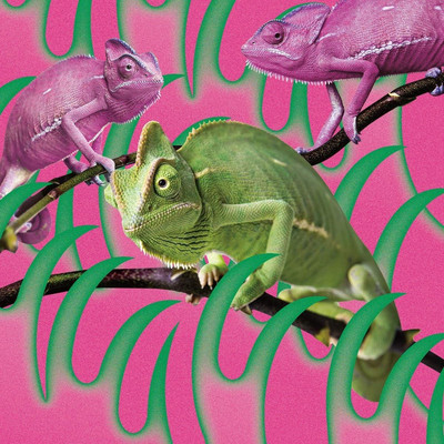 CD Unfading - EP Japan Akai Koen Music (1 CD) ESCL-5167 Album