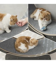 Cat Exercise Wheel Cat Running Treadmil Wheel Cat Fitness Sport Toy for Kitty