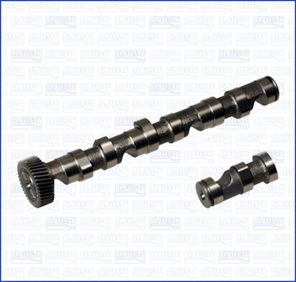 Ajusa Nockenwelle 93130700 FüR Audi A6 C5 Avant 4B5 4B6 4B2 4B4 A8 D2 4D2 4D8 A4-image