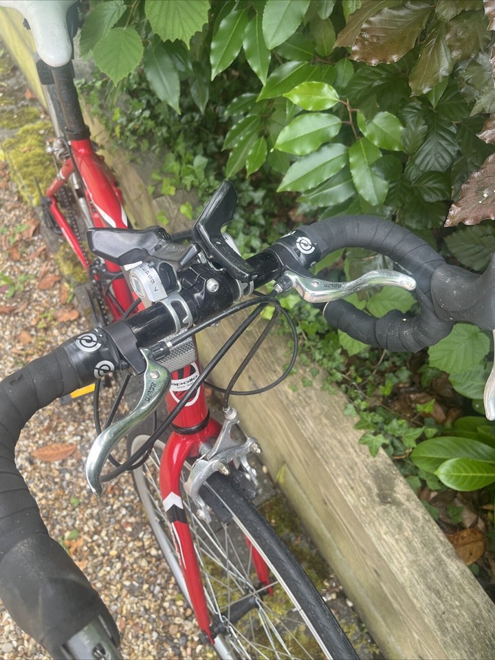 apollo tempo junior road bike