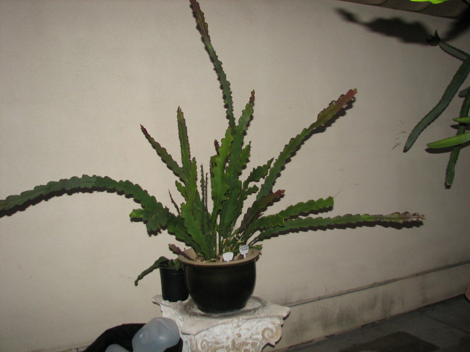 Picture 4 of 10