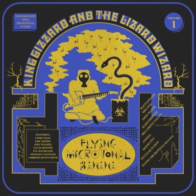 KING GIZZARD & THE LIZARD WIZARD - FLYING MICROTONAL BANANA JEWEL CASE CD NEU 