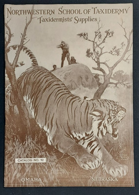 1930's Catalog Northwestern School Of Taxidermy Taxidermists Supplies Tiger #92