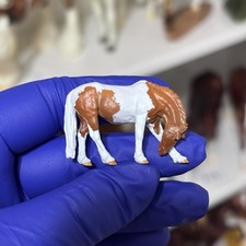 Chestnut Pinto Callie Artist Resin Micro Painted by Latigo Studios