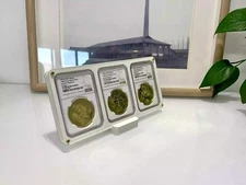 3 Grids Multi-color Desktop Display Frame Case Stand Box For NGC Coin Holder