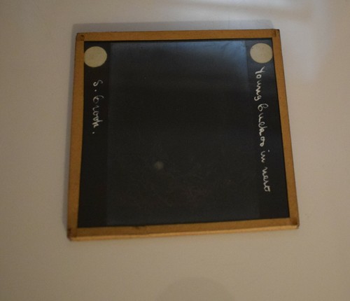 Magic Lantern Slide YOUNG CUCKOO IN NEST C1920 PHOTO BIRD ORNITHOLOGY - Picture 2 of 3