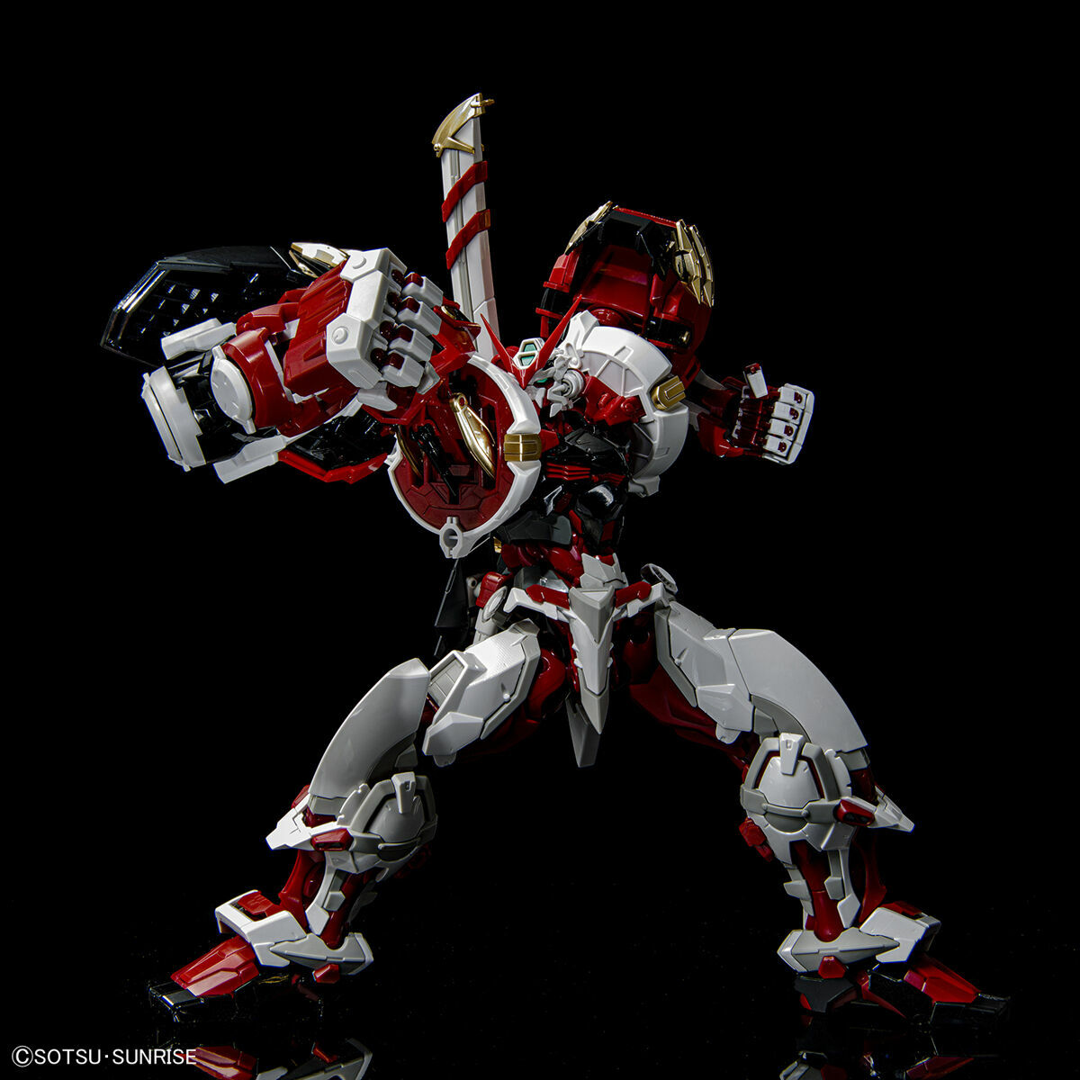 BANDAI HiRM Hi-Resolution Model 1/100 Gundam Astray Red Frame