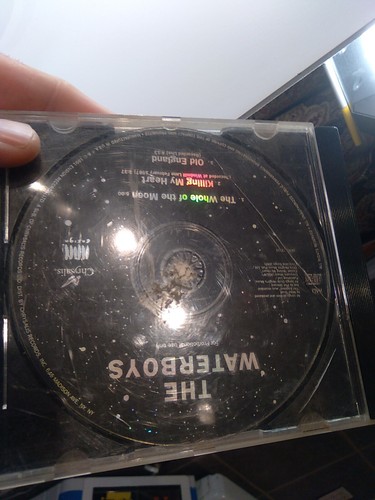 The Waterboys - The Whole of The Moon (CD, Single, 1991) Promo - Picture 12 of 24
