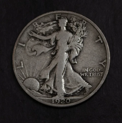 1920 S  Walking Liberty Half Dollar  Fine   Lot 5077