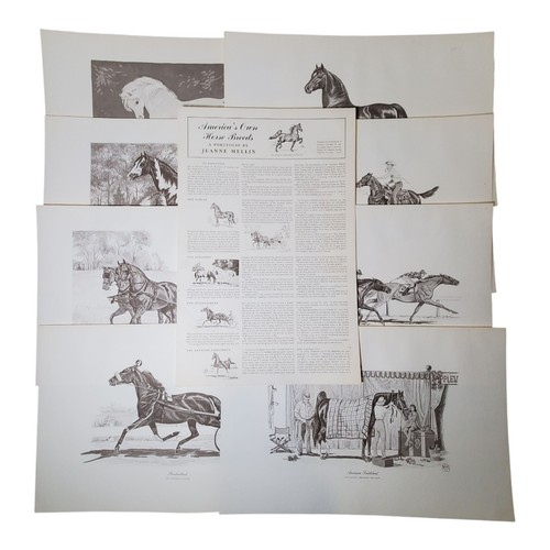 1962 America's Own Horse Breeds a Portfolio by Jeanne Mellin 11"x17"