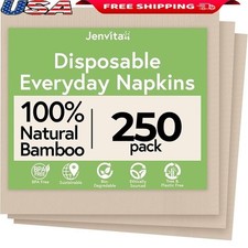 Biodegradable Bamboo Napkins Soft Absorbent Durable 2 Ply Bulk 250 Count New