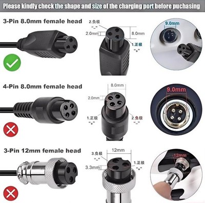 3-Prong 29.4V Charger for Hover-1 Superfly H1-SPFY | eBay