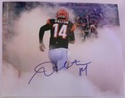 ANDY DALTON CINCINATTI BENGALS AUTOGRAPH SIGNED NFL 8x10 PHOTO FOOTBALL