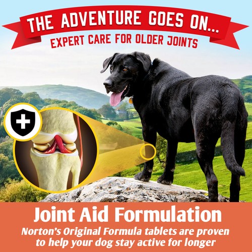 Why Don't You Move To a Great Value Joint Supplement For Your Dog? Norton's - Picture 8 of 9