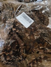 pine cones for Christmas