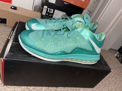 easter lebron 10