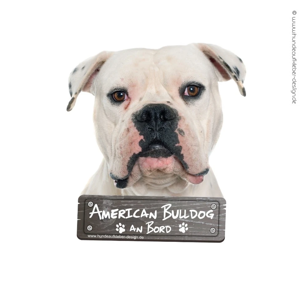 American Bulldog an Bord Autoaufkleber 10cm o. 20cm | KFZ Hunde Aufkleber 0910 - Bild 2 von 2
