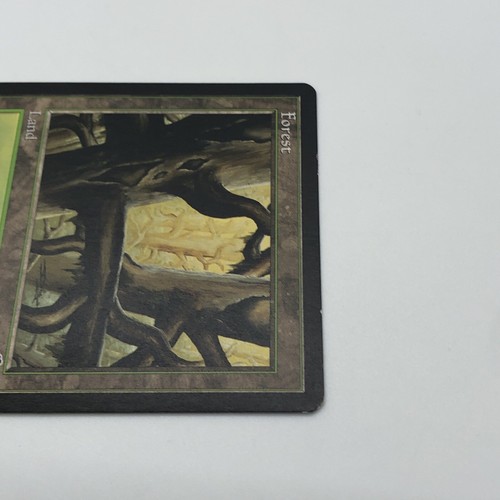 Magic The gathering Forest Ledge Tempest Land Illustrator Douglas Shuler - Picture 5 of 10