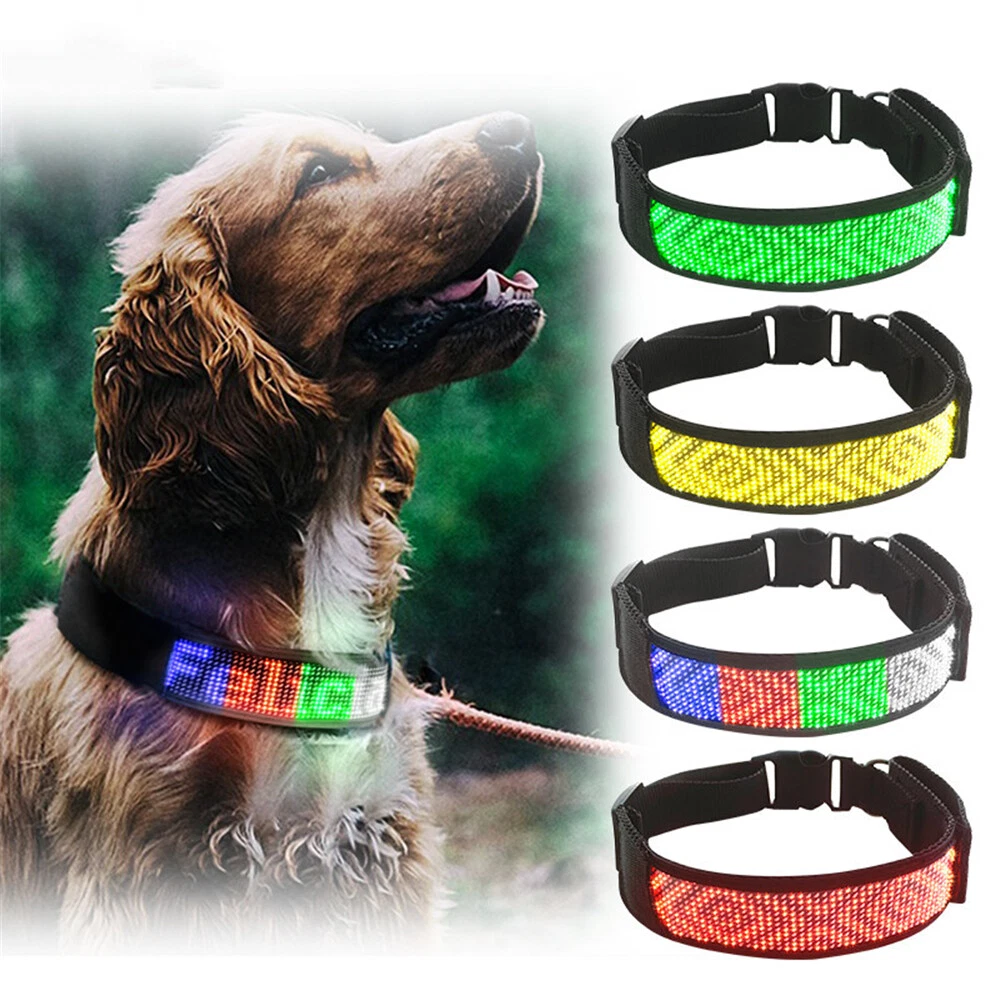 Led Pet Dog Collar Adjustable Safety Bluetooth Anti-Lost Luminous Glowing  Number | eBay
