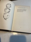 Picture 11 of 13