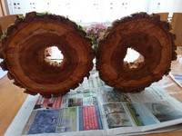 2 Holzscheiben Mit Loch Ca. 25Cm Durchmesser Zwetschgenholz