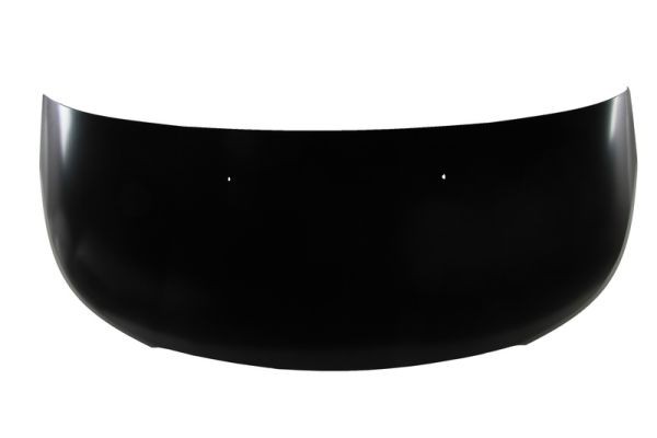 BLIC 6803-00-0541280P Bonnet for CITROËN