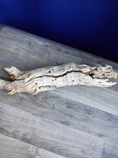 Beautiful DRIFTWOOD Piece Terrarium Taxidermy Aquarium Art Reptile DECOR