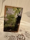 Bild 9 von 11