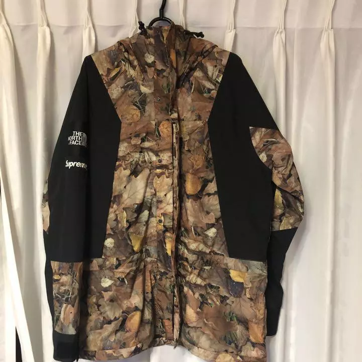 Supreme × The North Face Mountain Light Jacket Leaves Medium size