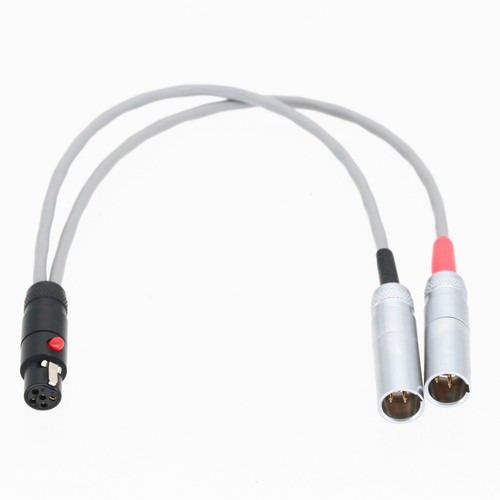 Mini-XLR 5-pin TA5F to Dual small-XLR TA3M 3-pin 8” L2B2AT Insert/Splitter cable - Picture 2 of 6