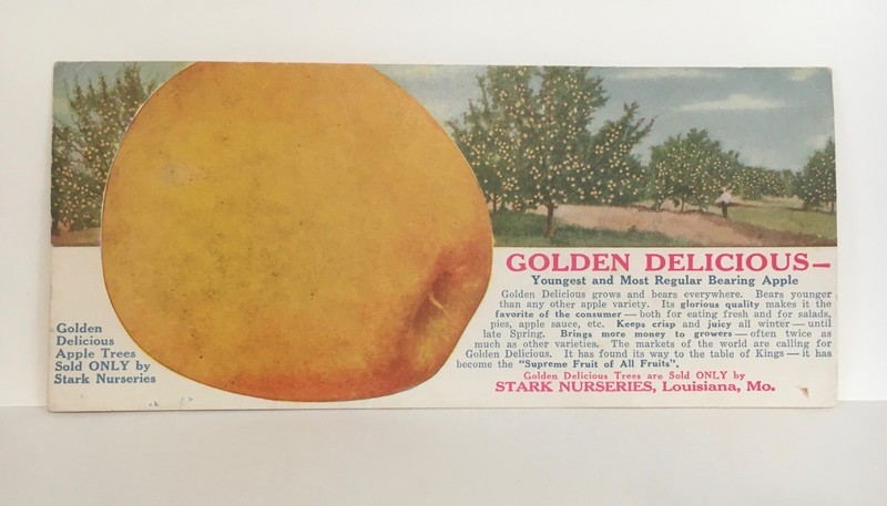 Stark's Golden Delicious Apple Ad Ink Blotter