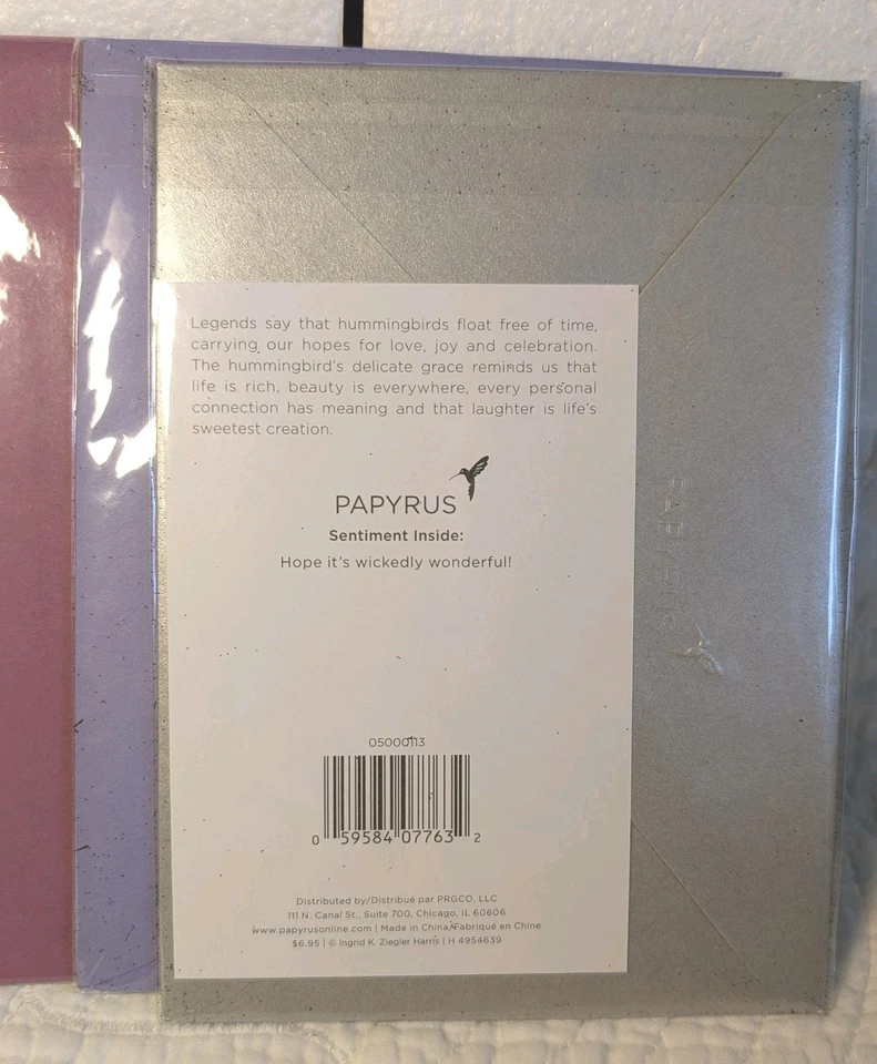 Papyrus Lot of 3 Halloween Greeting Cards Frog w/Hat on Pumpkin, Webs Skull NEW! - Image 3 of 4