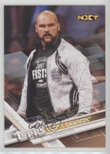 2017 Topps WWE Bronze Scott Dawson #84 1u6
