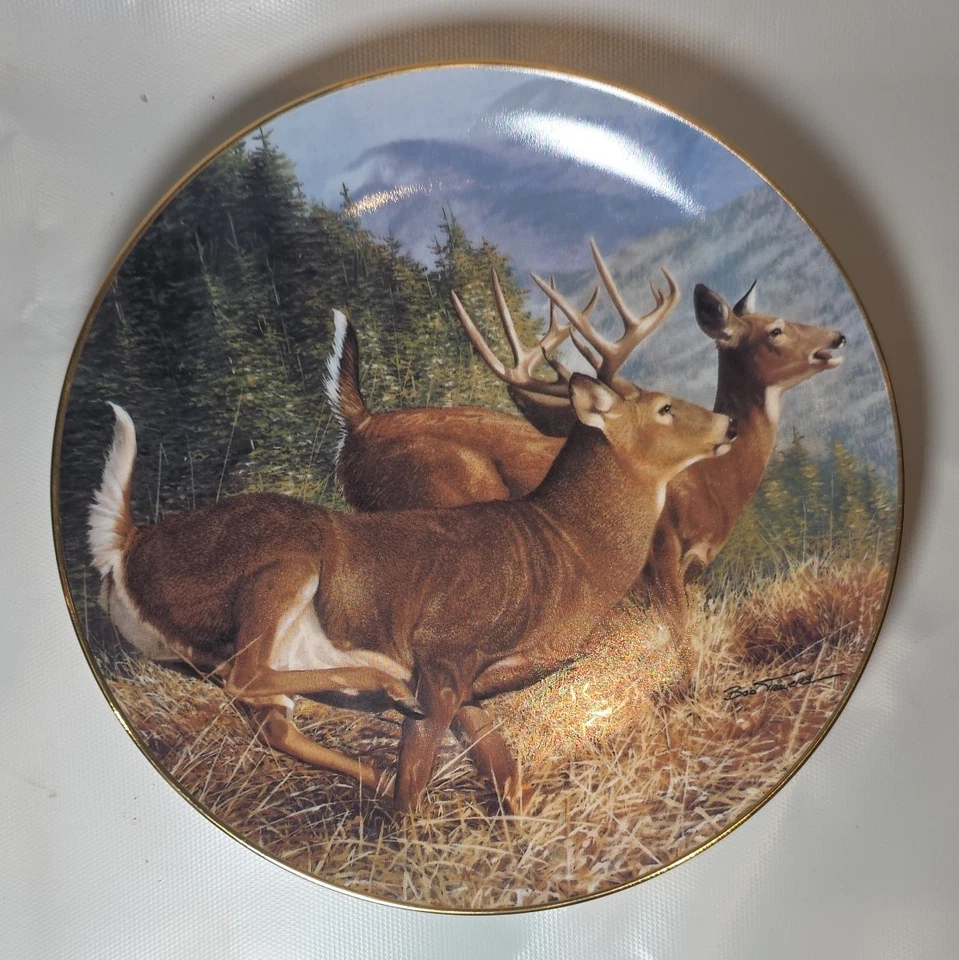 QTY 5 Danbury Mint Whitetail Buck Doe Deer Hunting Wildlife Plates Bob Travers - Image 2 of 4