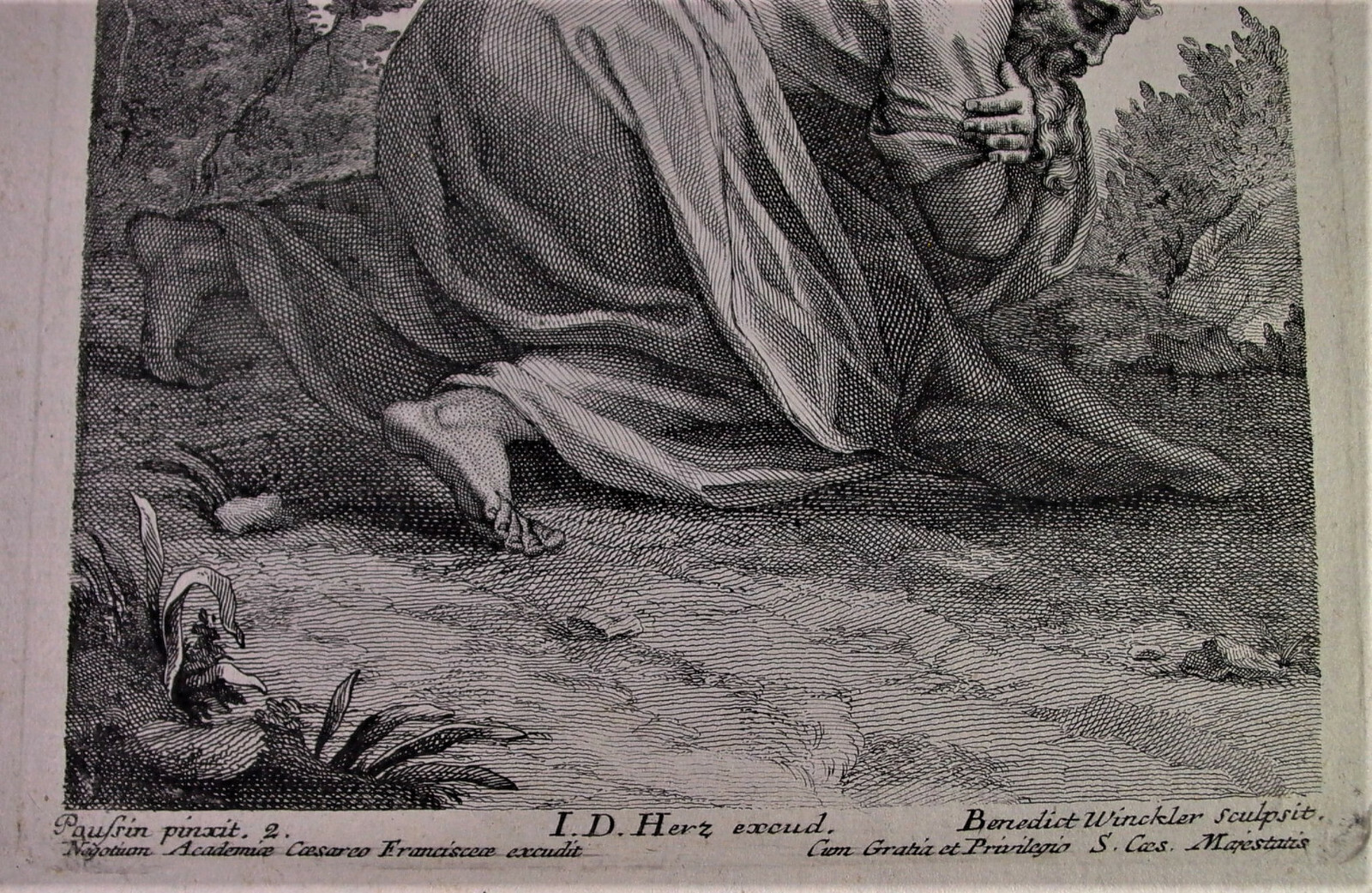 Picture 4 of 7