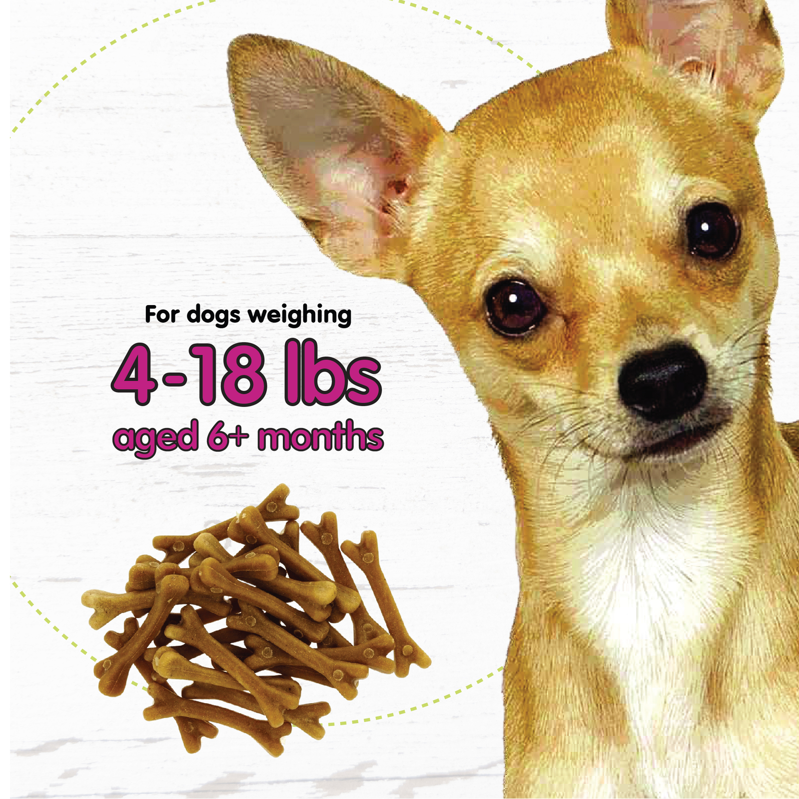 Fido Belly Bone Yogurt Dog Bone Mini 21ct (Pack of 3) 758524883974 eBay