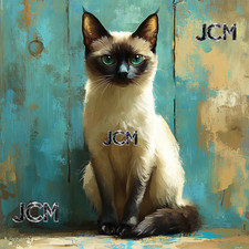 digital image picture photo wallpaper background ,beautiful Siamese Cat