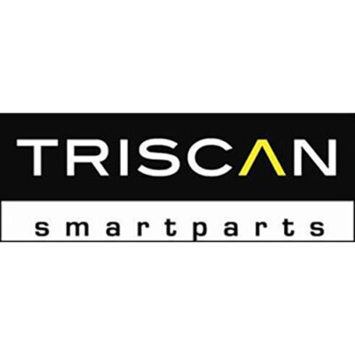 TRISCAN Zylinderkopfschraubensatz 98-1053