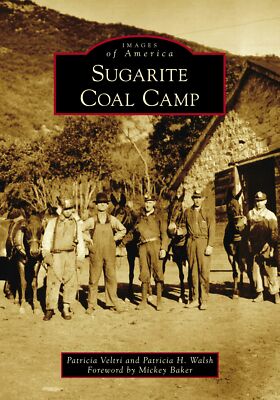 NEW Arcadia Publishing Sugarite Coal Camp, NM 9781467126953 Images of America Tr