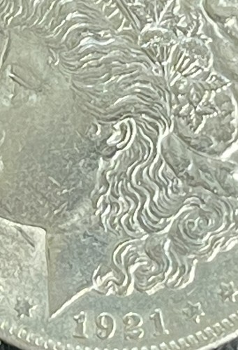 (1) Brilliant Uncirculated $1 1921 Morgan US Silver Dollar 90% BU - Picture 3 of 3