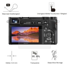 Sony A5000 / A6000 0.4 mm Adhesion Display Protection Glass Film LC7663