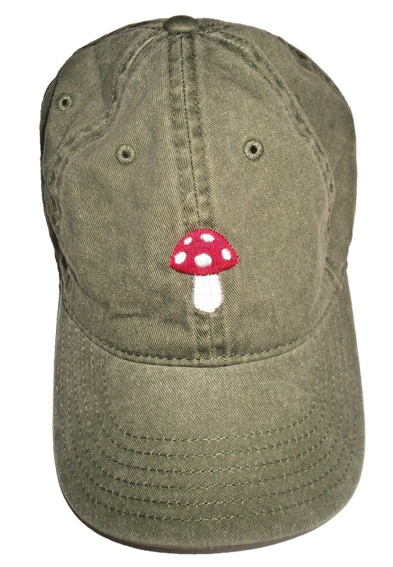 NWOT ANTI-TRUMP Hat for those who get the joke - One Size
