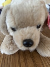 Aurora 6 Tan Puppy Dog Plush Stuffed Animal Golden Retriever