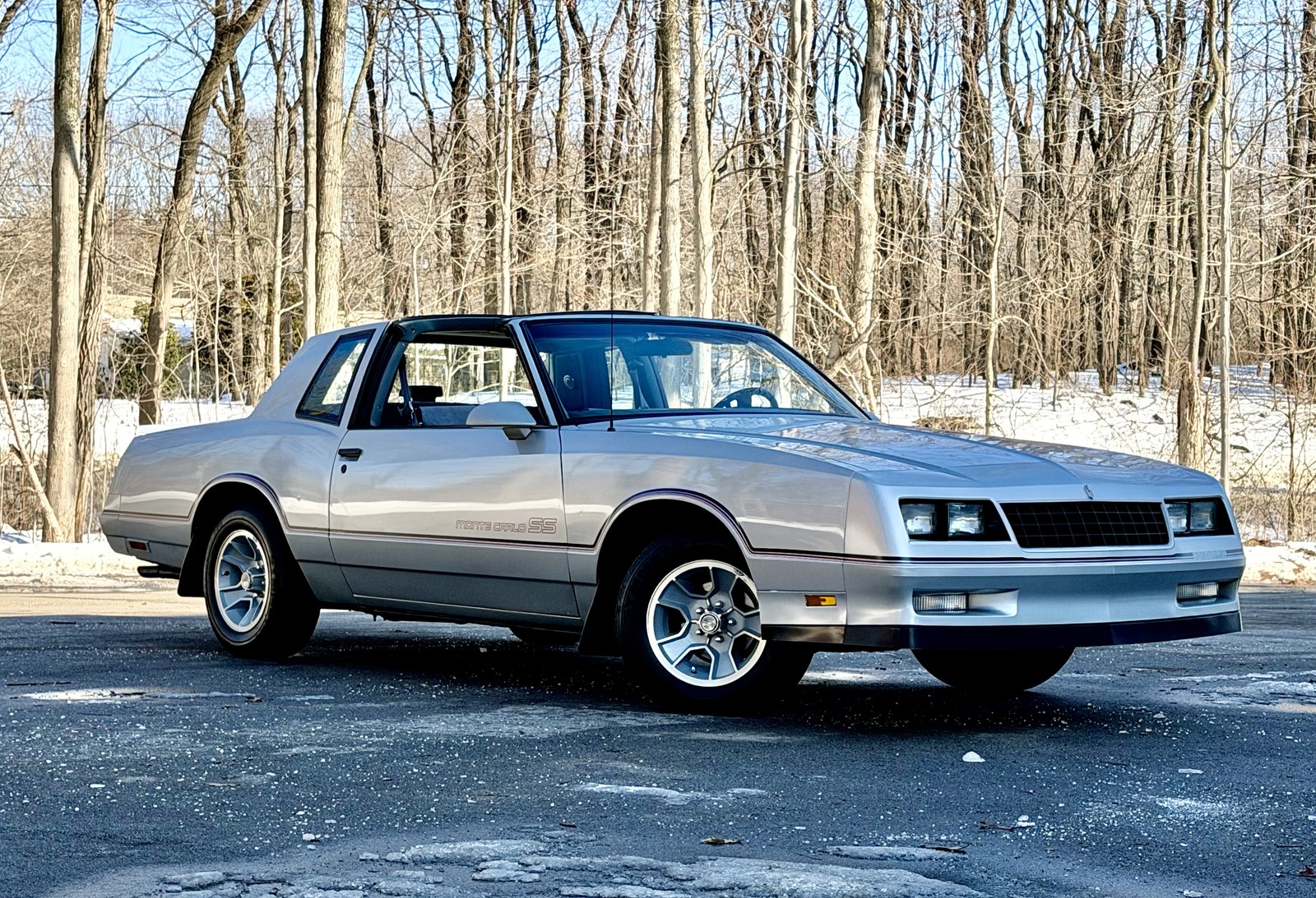 1986 Chevrolet Monte Carlo for sale in Saugatuck Michigan