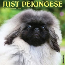 Pekingese 2026 12" x 12" Wall Calendar (free shipping)