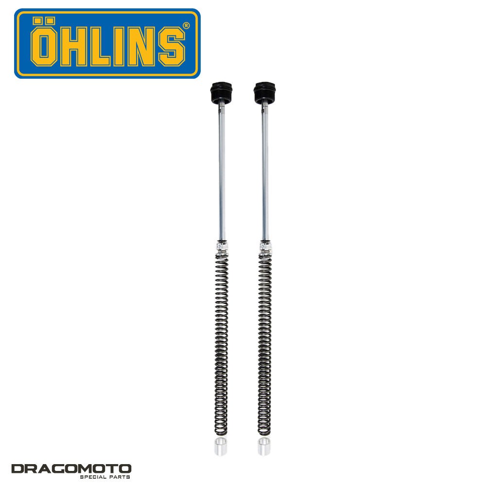 Kit Cartouche OHLINS FDK 112 améliore la tenue de route avant du Monkey 125