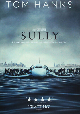 Sully (DVD, 2016)