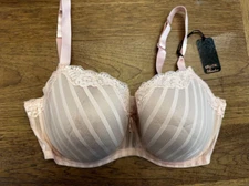 City Chic Pink Beige Stripe Lace Size 42DDD Fifi Contour Lightly Lined Bra NWT!