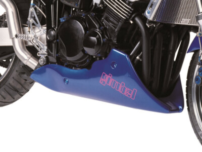 Gimbel Bugspoiler YAMAHA FZS 600 Fazer (RJ02) | 98-01 | mit TÜV unlackiert au...