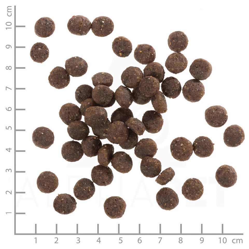 Wolfsblut Puppy Range Lamb - Lamm 12,5 kg - Bild 4 von 4